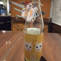 もろみー