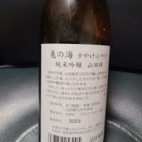 亀の海のレビュー by_acdc