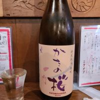 
            片野桜_
            acdcさん