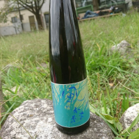 
            風の森_
            acdcさん