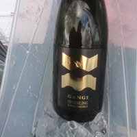 
            雁木_
            acdcさん