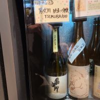 男女川