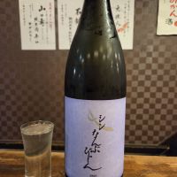 南部美人