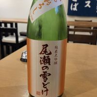 尾瀬の雪どけ