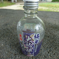 
            黄桜_
            acdcさん