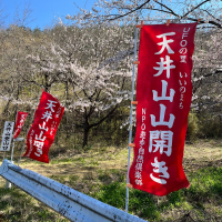 大七のレビュー by_ひとうおんせん