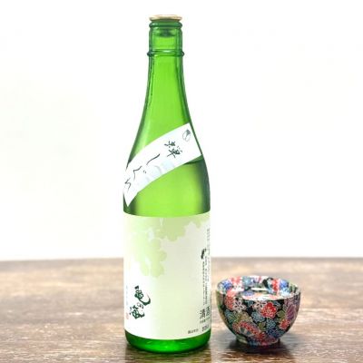 亀の海のレビュー by_☆Shige☆