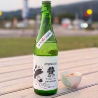 勢正宗