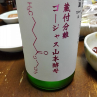 
            山本_
            酔いどれ秋田犬さん