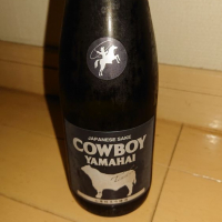 COWBOY YAMAHAIのレビュー by_jin