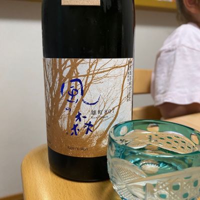 風の森のレビュー by_Kazuki Kamanaka