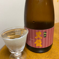 福井県の酒