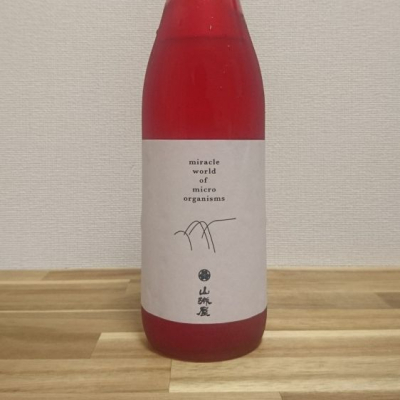 Katachiimさんの日本酒レビュー 評価一覧 日本酒評価saketime