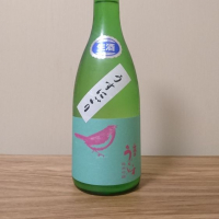 
            庭のうぐいす_
            katachiimさん