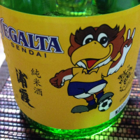 浦霞