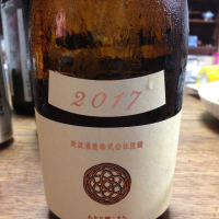 新政