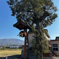 高波のレビュー by_hiko99n