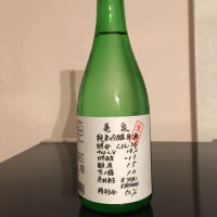 高知県の酒