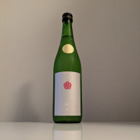 山の井