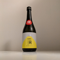 洞