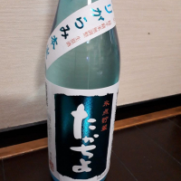 新潟県の酒