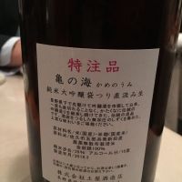 
            亀の海_
            SKさん