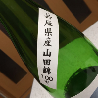 美酒の設計のレビュー by_ぱんじゅう