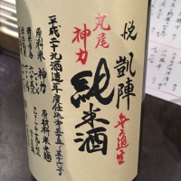 悦凱陣
