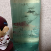 
            阿部勘_
            ミユヒロさん
