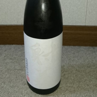 射美
