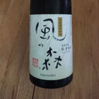 風の森