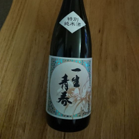 一生青春