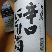 越の白鳥
