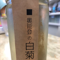 奥能登の白菊