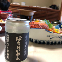 愛知県の酒