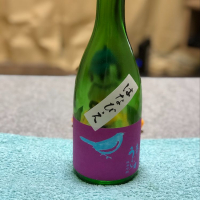 
            庭のうぐいす_
            ポキールさん