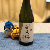 宮城県の酒