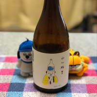 山形県の酒