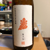 陽乃鳥