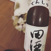 田酒