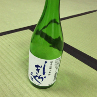 土佐しらぎく