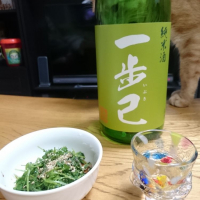 
            一歩己_
            金太先生さん