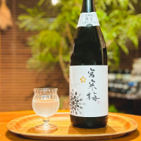宮寒梅