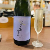 シン なんぶびじん