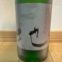 土佐しらぎく