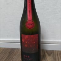電照菊