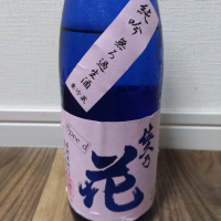 佐久乃花