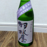 富山県の酒