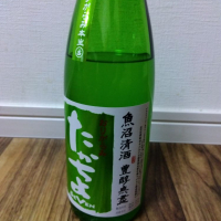 
            高千代_
            tsumotsumoさん