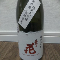 
            佐久乃花_
            tsumotsumoさん